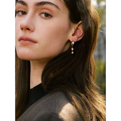 High Quality Stainless Steel Shiny Cubic Zirconia Drop Earrings Gold Platinum PVD Plated Delicate Chic Jewelry Recommend